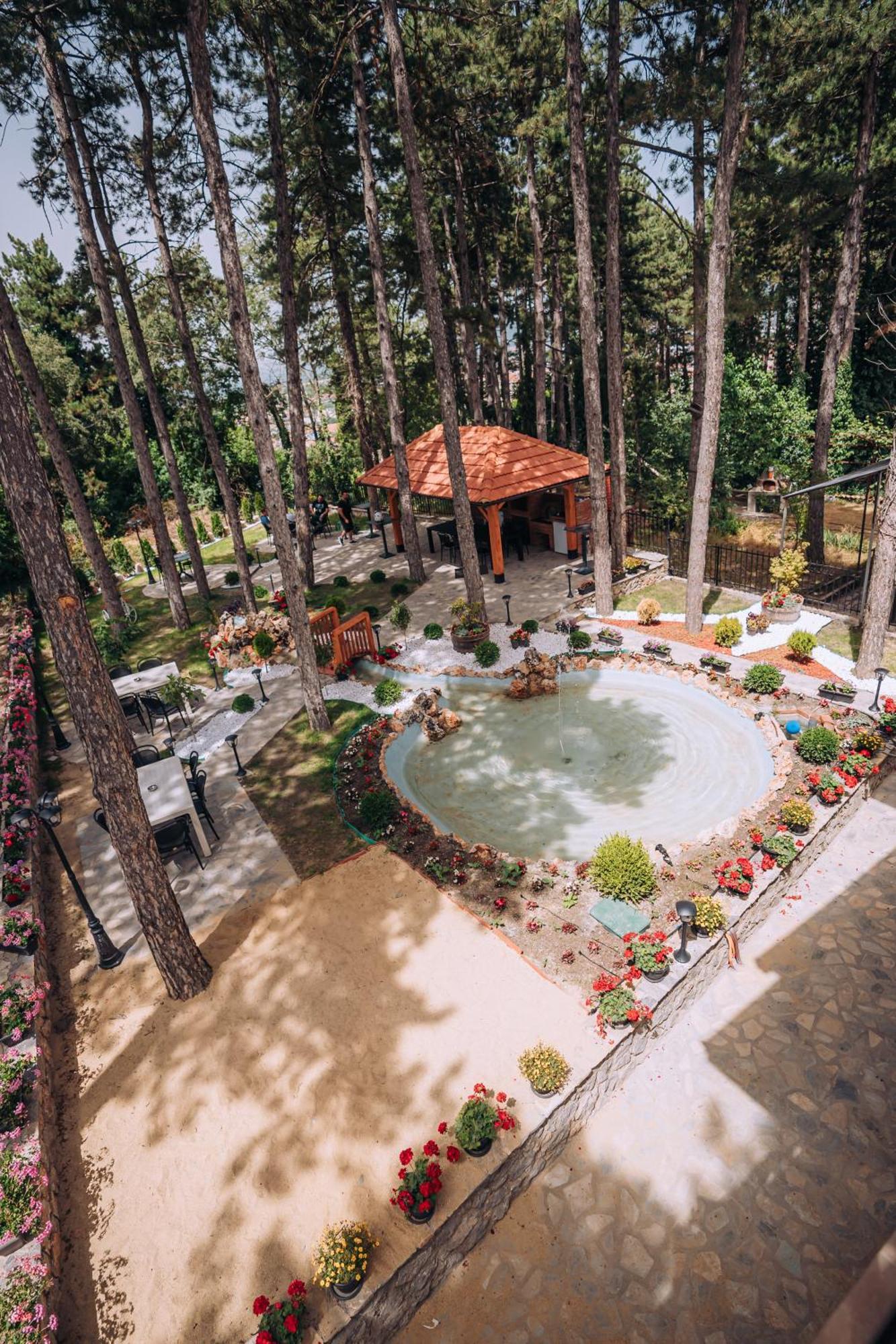Villa Pupin Gorna Porta أوهغيد المظهر الخارجي الصورة